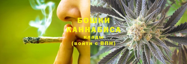 шишки Балахна