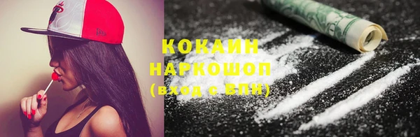 шишки Балахна