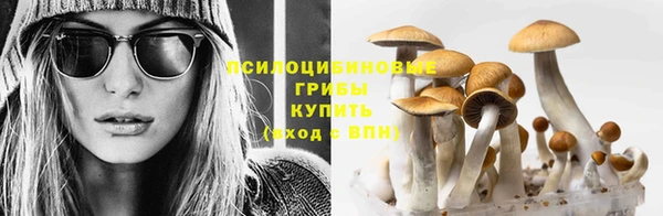 Альфа ПВП Балабаново