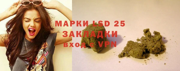 шишки Балахна