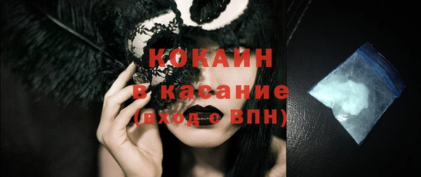 крисы Баксан