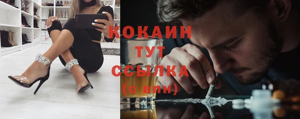 крисы Баксан