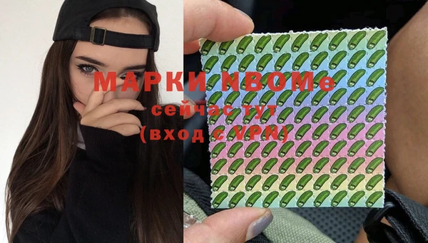 крисы Баксан