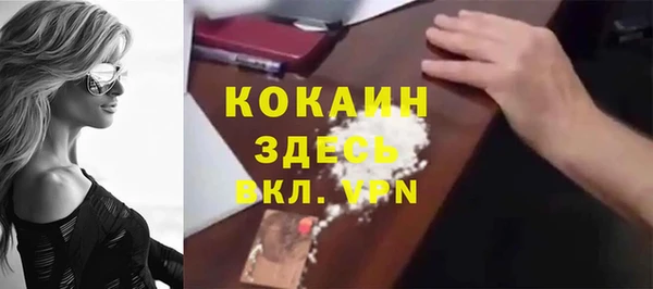 шишки Балахна