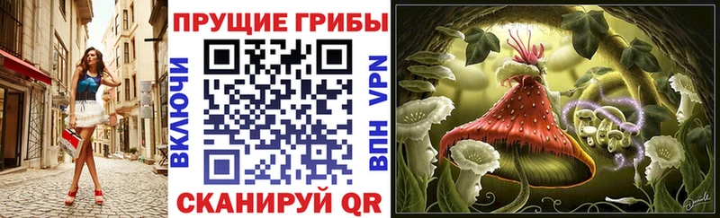 Галлюциногенные грибы Magic Shrooms  где продают наркотики  Чадан 